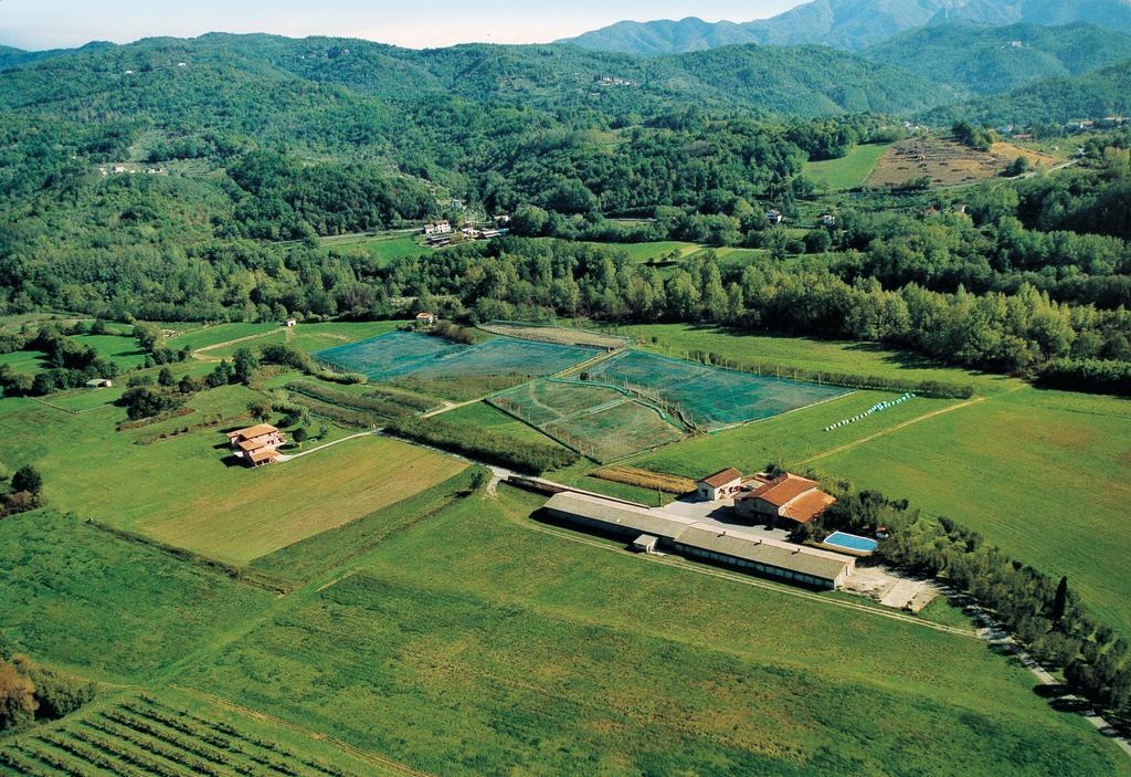 Agriturismo La Praduscella Фивицано Екстериор снимка