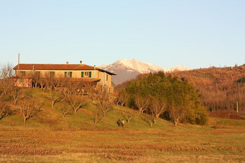 Agriturismo La Praduscella Фивицано Екстериор снимка